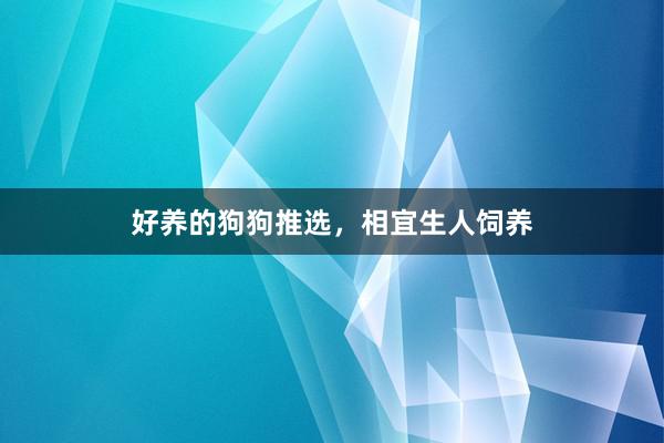 好养的狗狗推选，相宜生人饲养
