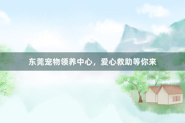 东莞宠物领养中心，爱心救助等你来
