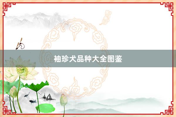 袖珍犬品种大全图鉴